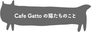 Cafe Gattoの猫たちのこと